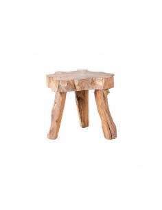 Mesa auxiliar ERUPTA